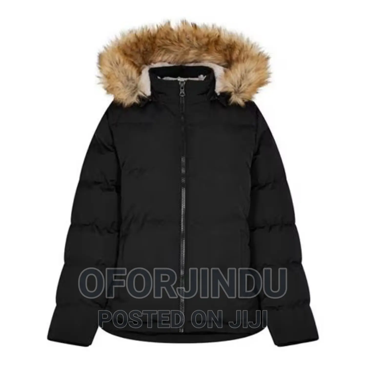 Winter Jacket Foreign Used Original