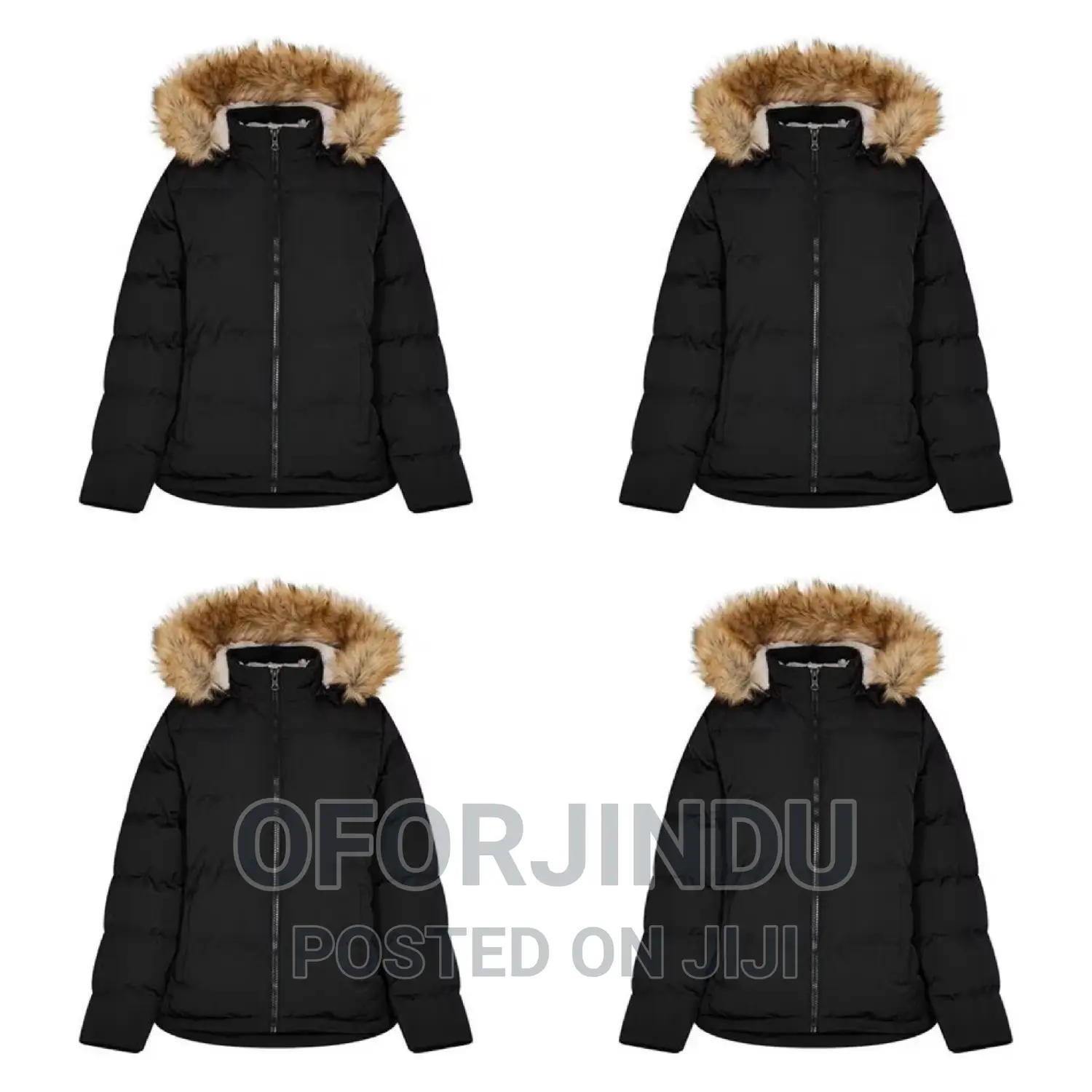 Winter Jacket Foreign Used Original