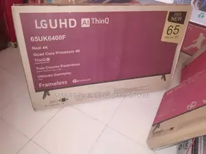 Frameless 65 Inches LG A1 Thinq Bluetooth Netflix Frameles