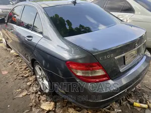 Mercedes-Benz C300 2010 Gray