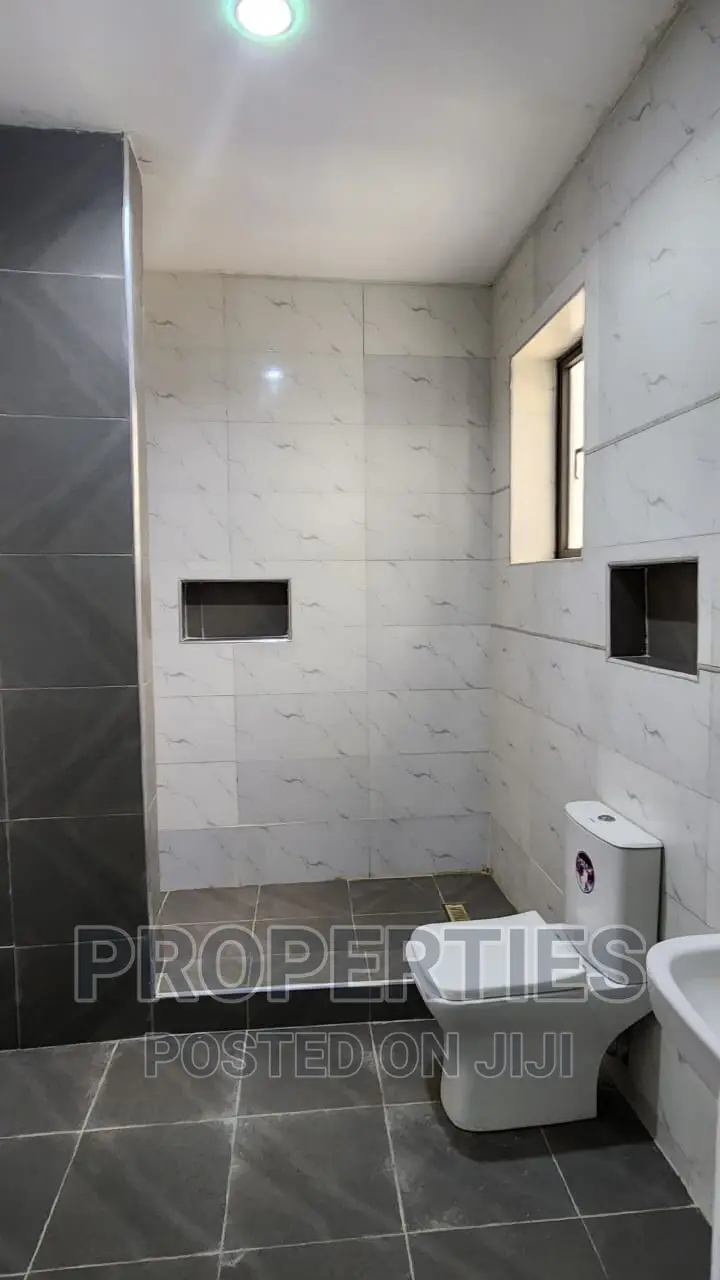 5bdrm Duplex in Asokoro for rent