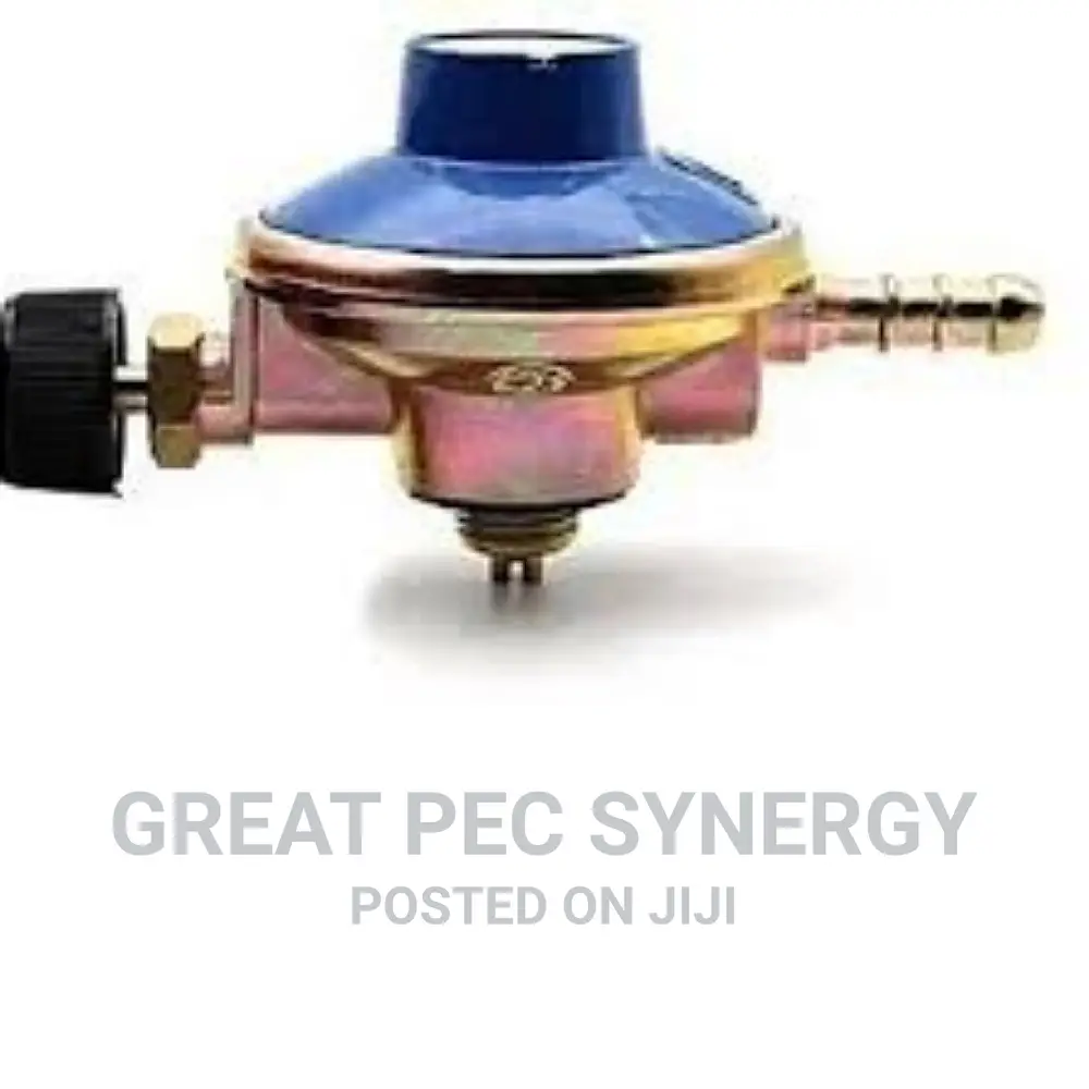Camping Gas Regulator.