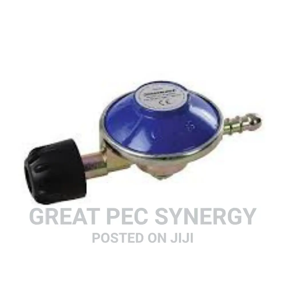 Camping Gas Regulator.