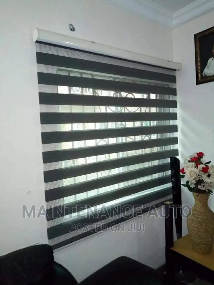 Zebra Blinds Curtains