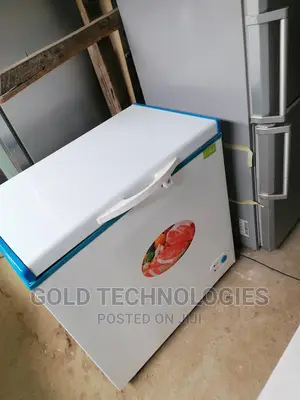 Deep Freezer Big Size