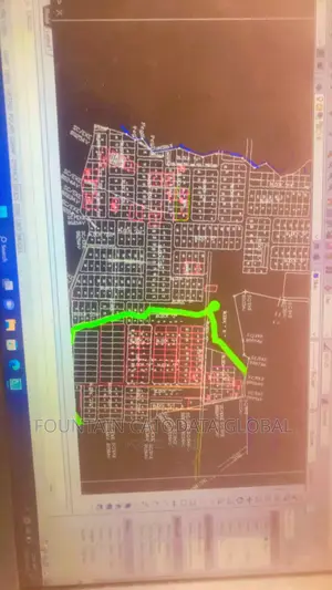 A Land Surveyor