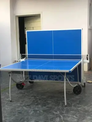 American Fitness Outdoor Table Tennis Board Big Tire