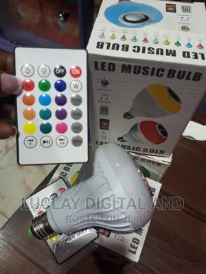 LED Bulb Music