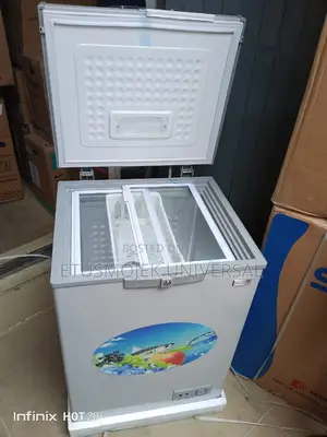 Quality 100liters Mini Freezer
