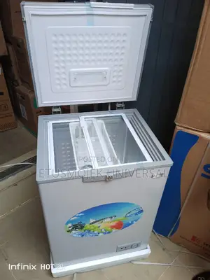 Quality 100liters Mini Freezer