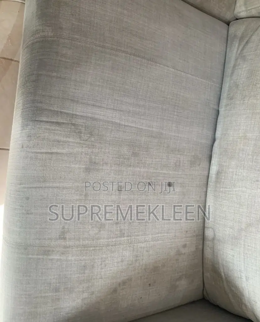 Upholstery Cleaning Company Service