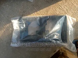 Plate Number Plastic 2013-17 Honda Accord