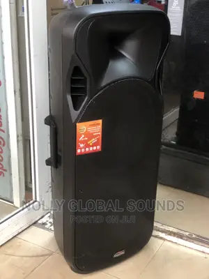 HAMERSH Double Public Addressing System With 2 Wireless Mics
