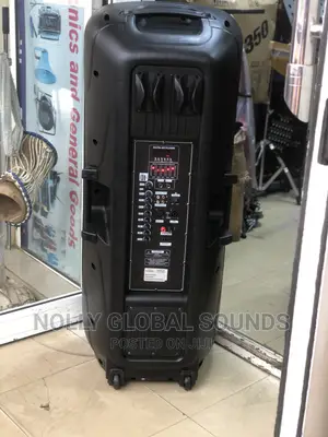 HAMERSH Double Public Addressing System With 2 Wireless Mics