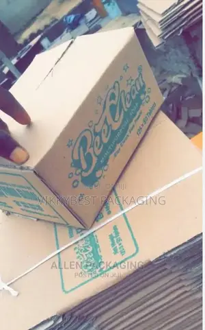 Cartons Production for All Purposes and Specifications