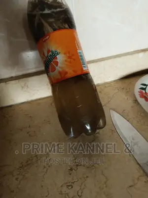 Enlargement Penis Oil and Soap