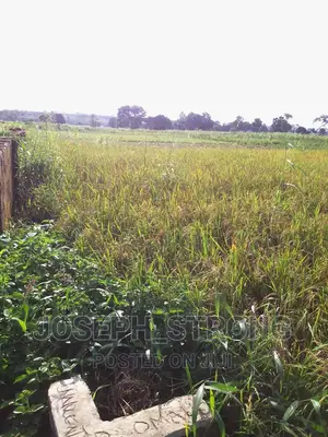 One and a Half Plot of Land