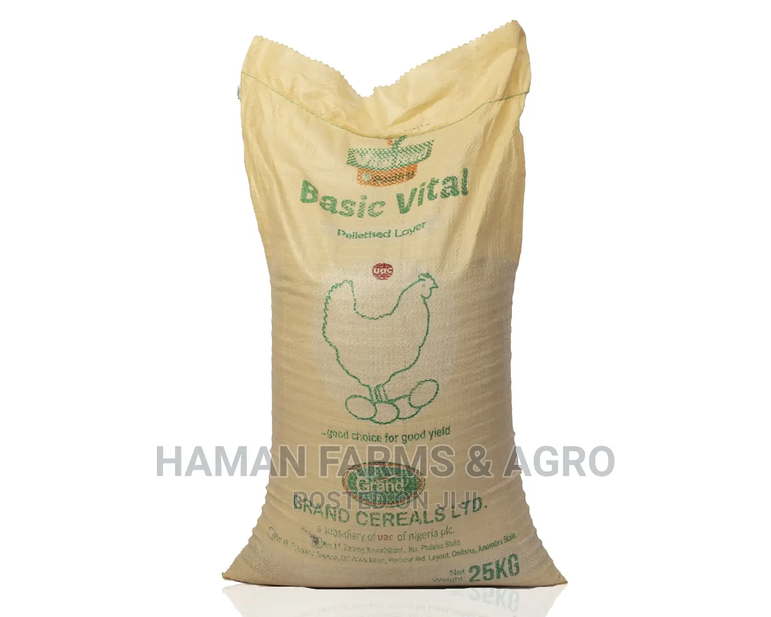 Basic Vital Layer