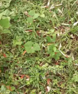 Mixed-use Land for Sale in Ikoyi