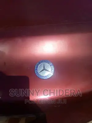 All Kinds of Mercedes Benz Bonnet Logos