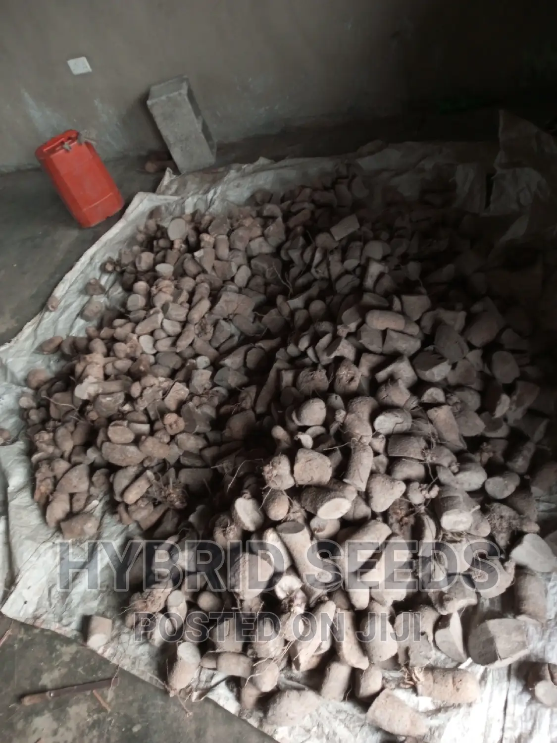 Yam Setts/Seed Yams (High Yielding)