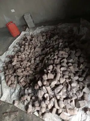 Yam Setts/Seed Yams (High Yielding)