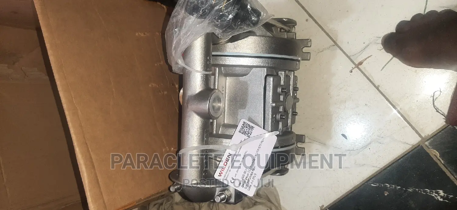 Wilden Tz2 Stainless Steel Aodd Pump