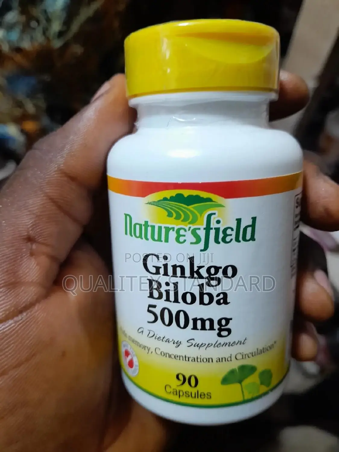Nature's Field Ginkgo Biloba