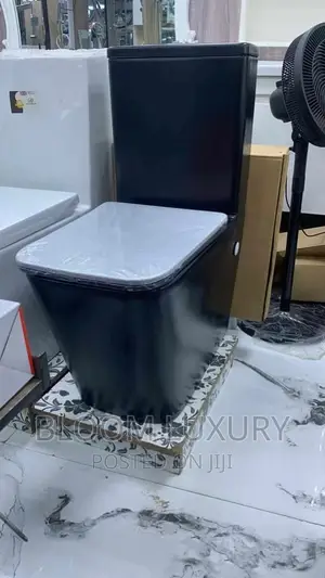 Matte Black Square Toilet