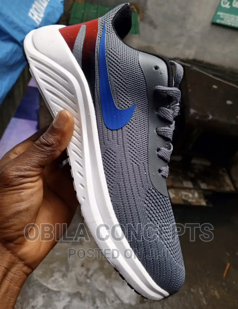 Sports Canvas/Trainers
