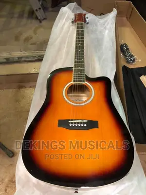 Original Smiger Semi-acoustic Guitar Ga-h60