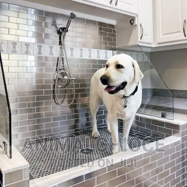 Dog Medicated Bath and Grooming