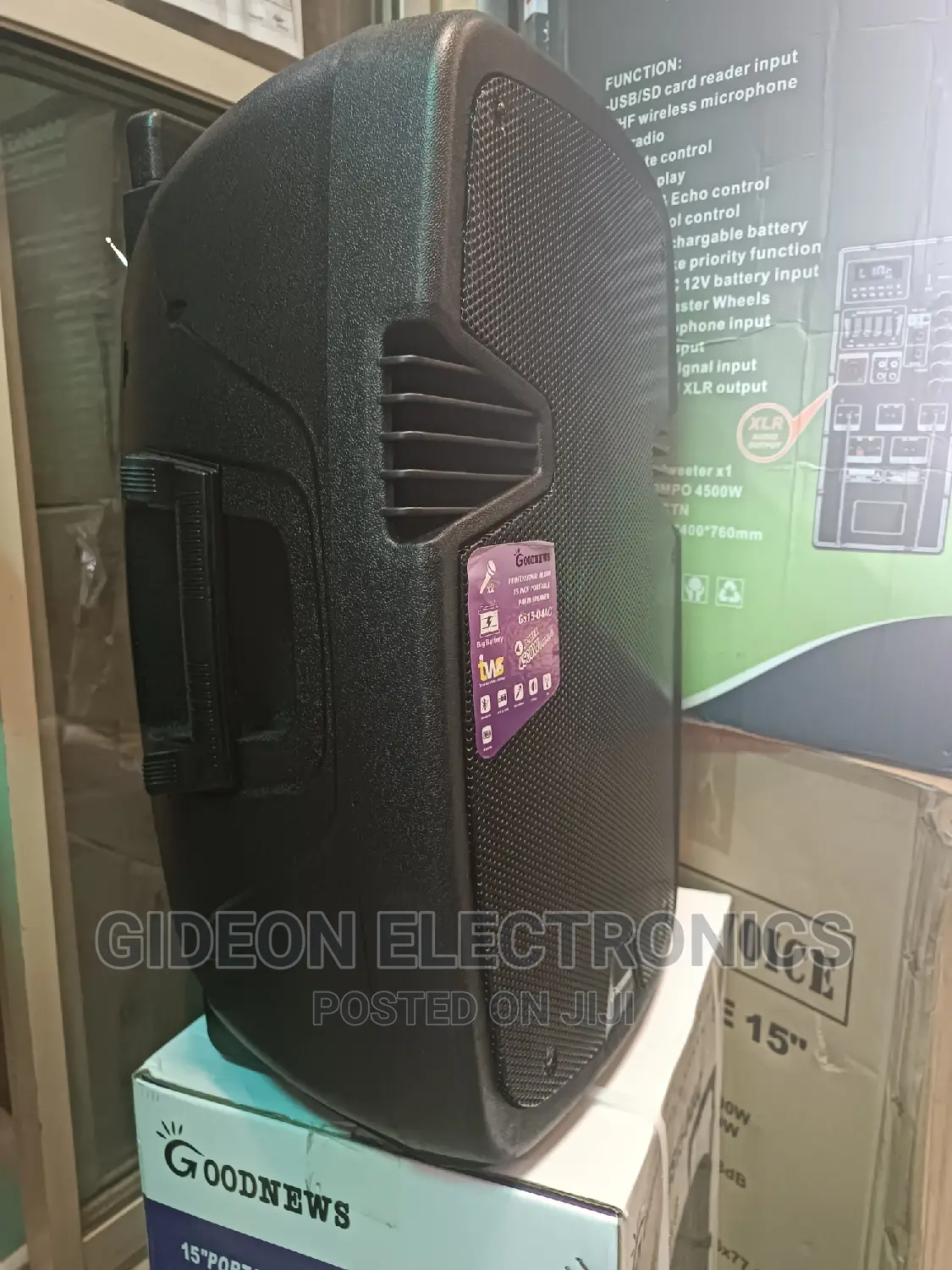 Goodness 15" Rechargeable Public Address System