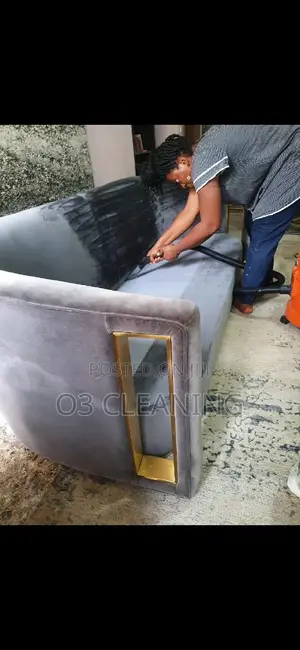 Laundry, Cleaning And Fumigation Services