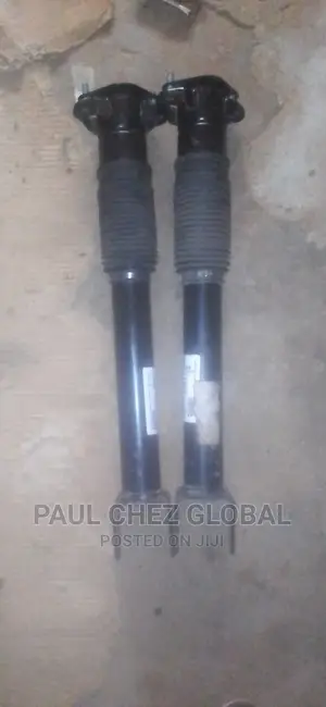 Back Shock Mercedes Benz Ml 350(166)(164)