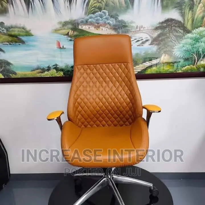 Quality Imported Executive Director Ergonomic Chair