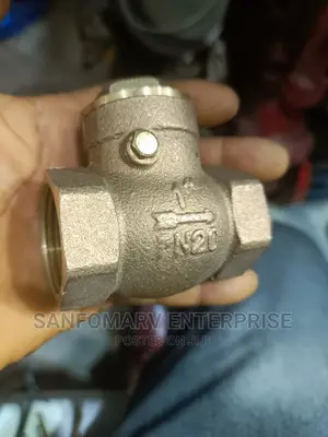 Brass Non Return Valve