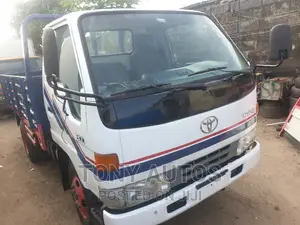 Dynai 300 Pick Up