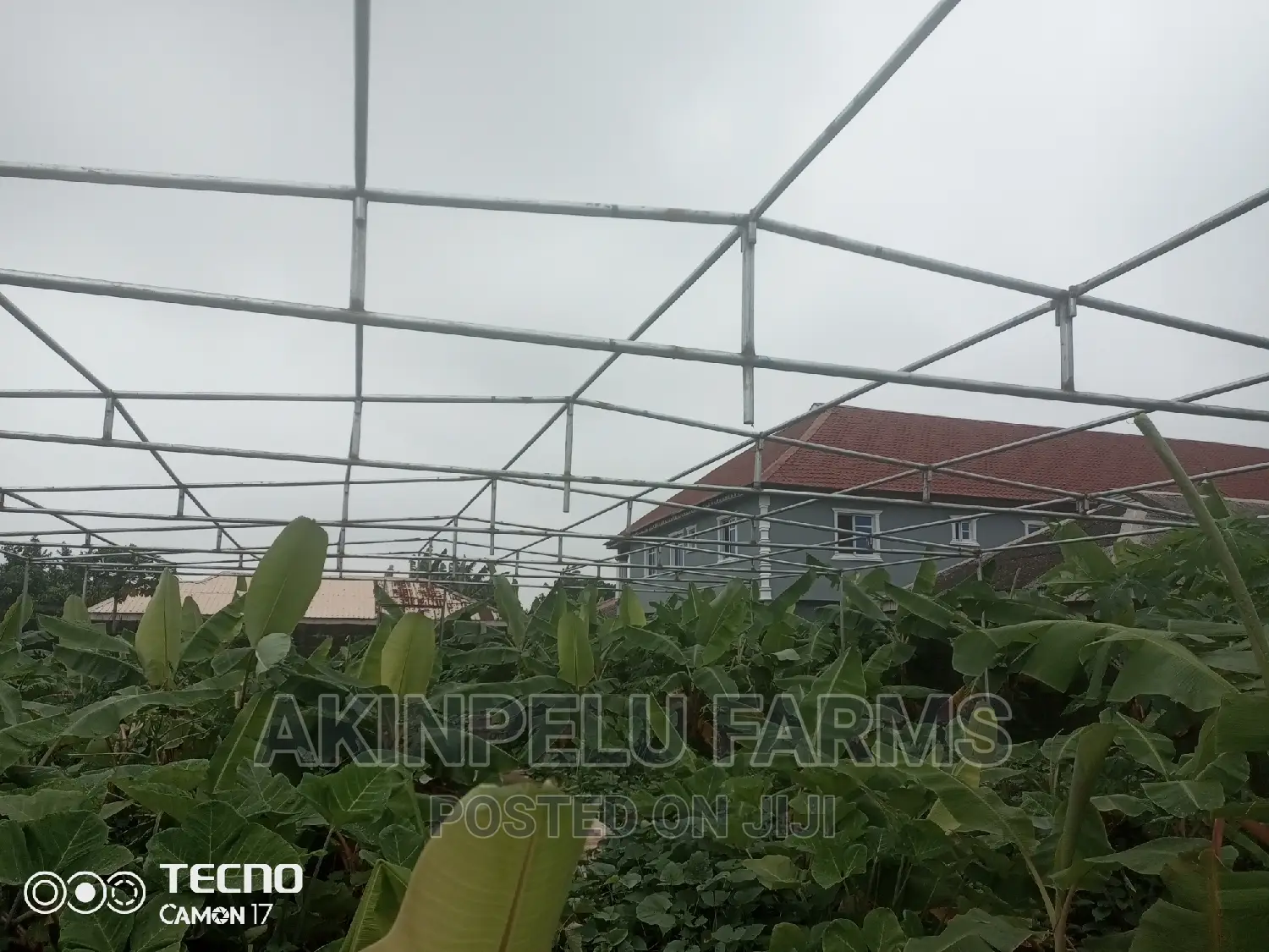 Green House Construction.