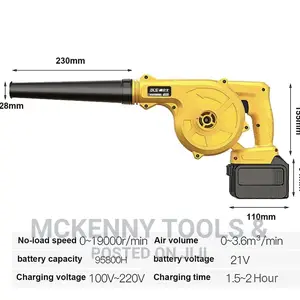 Dewalt Cordless Aspirator Blower Machine