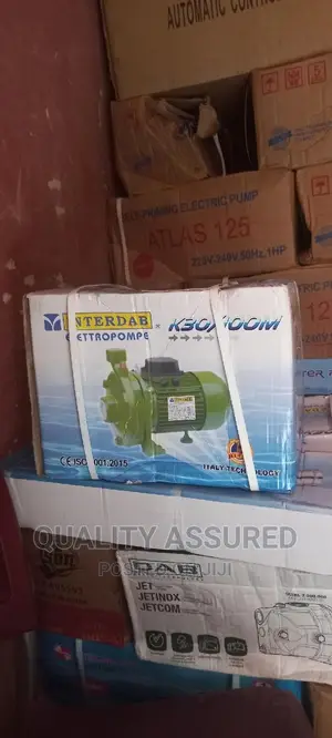 Interdab Surface Pump 1.5hp With Thermostat