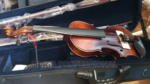 Photo - Hallmark HSV100 Professional Violin