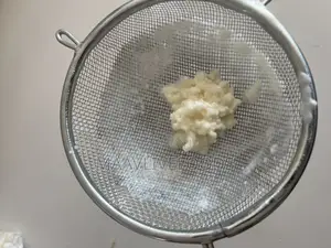 Live Milk Kefir Grains