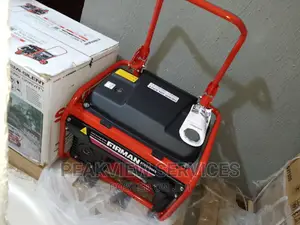 Standard Eco3990es Key Start Sumec Firman Generator