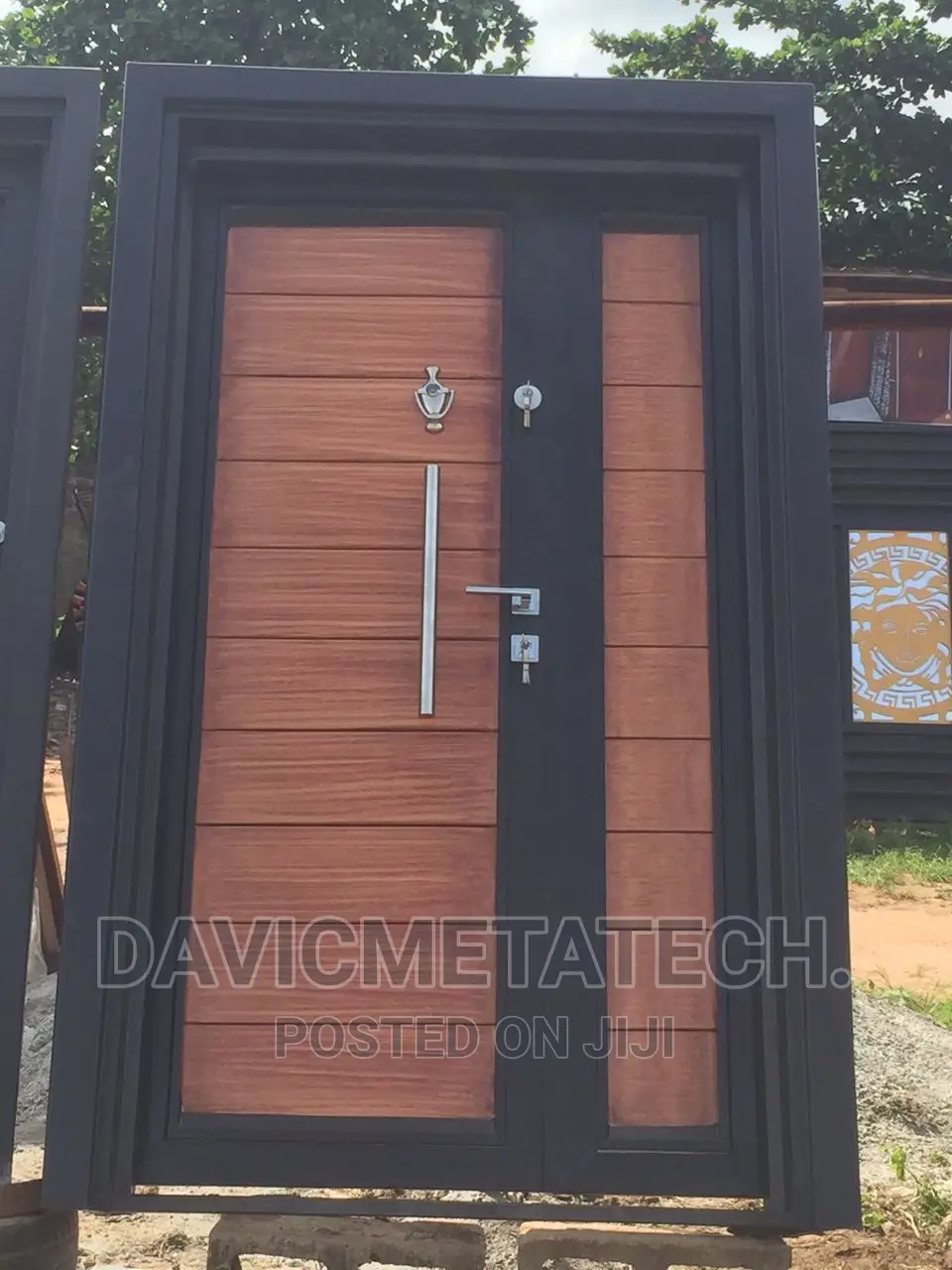Double Plate Door
