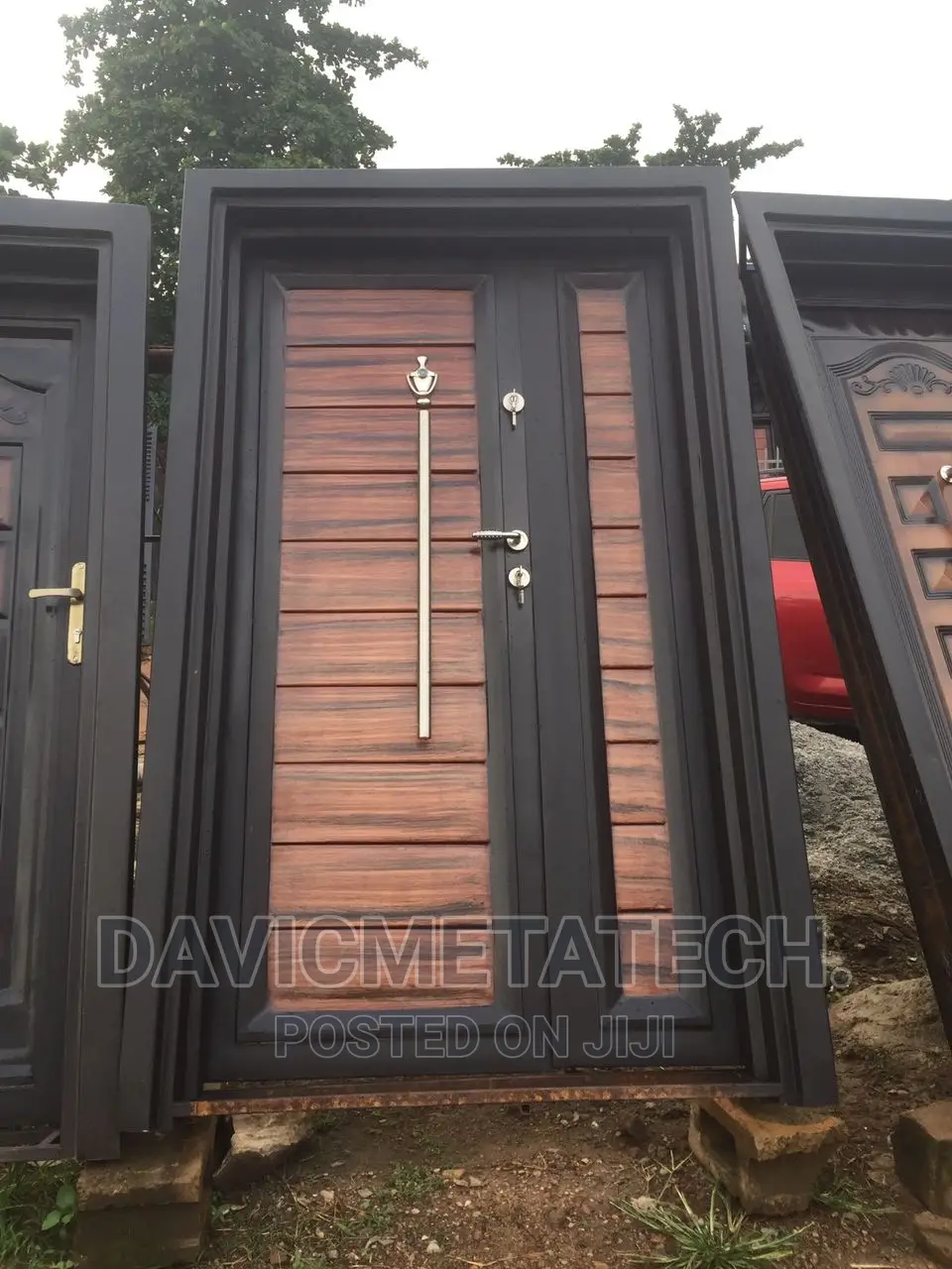 Double Plate Door