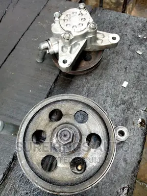 Power Steering Pump 2008-10 Croustour