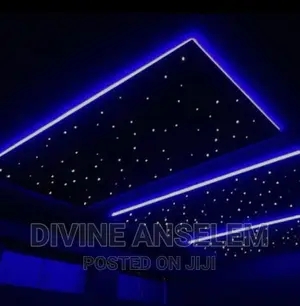 Fiber Ceiling Light