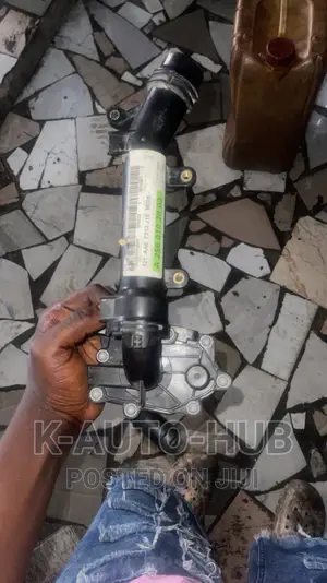 Thermostat for 256