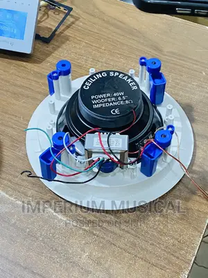 40watts Ceiling Speakers
